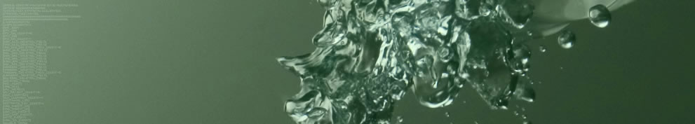 B9